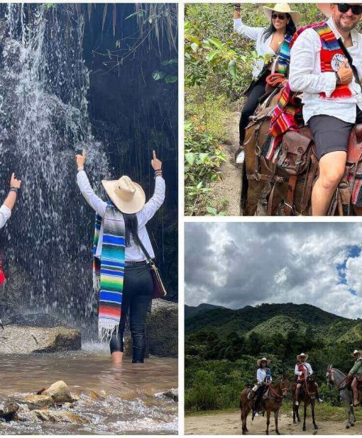 collage (15) (1) (2) (1) (1)