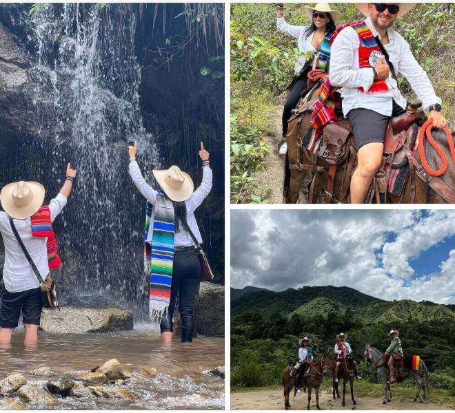 collage (15) (1) (2) (1) (1)