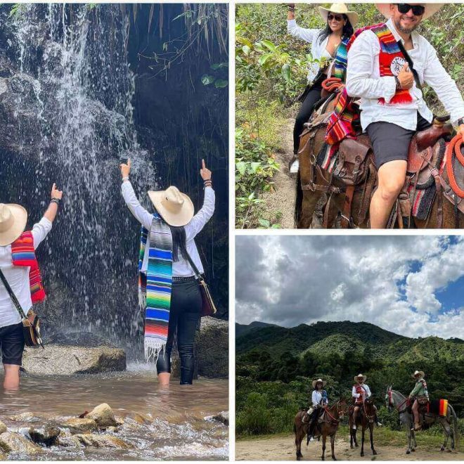 collage (15) (1) (2) (1) (1)